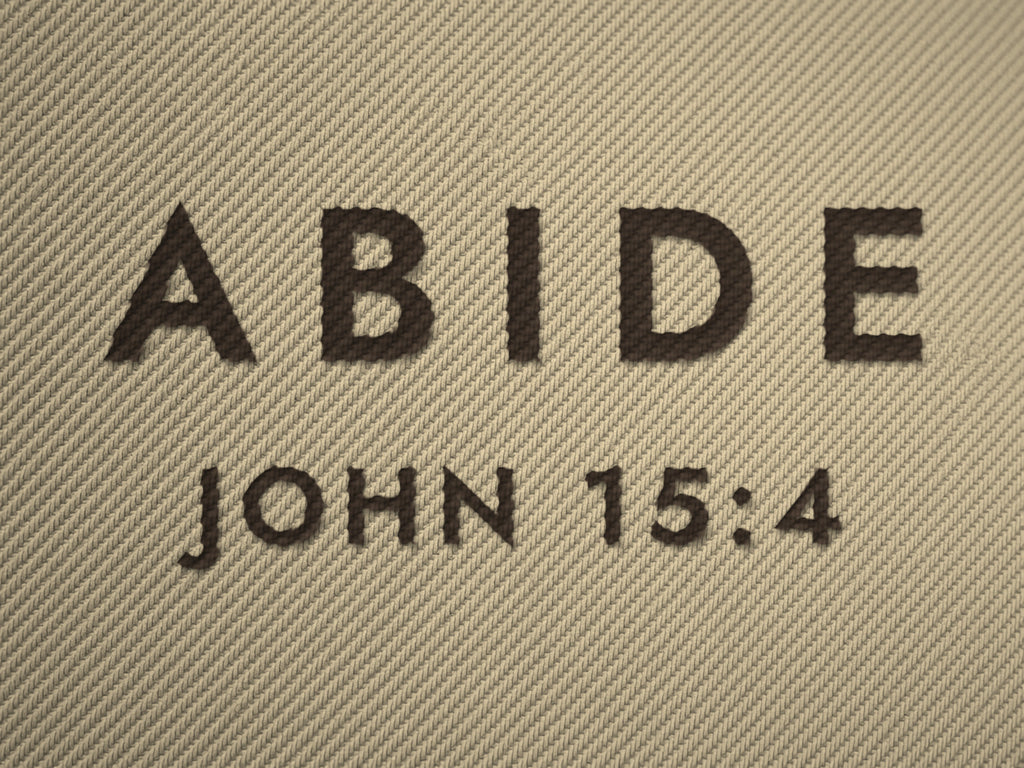 Abide Dad Cap, embroidery closeup