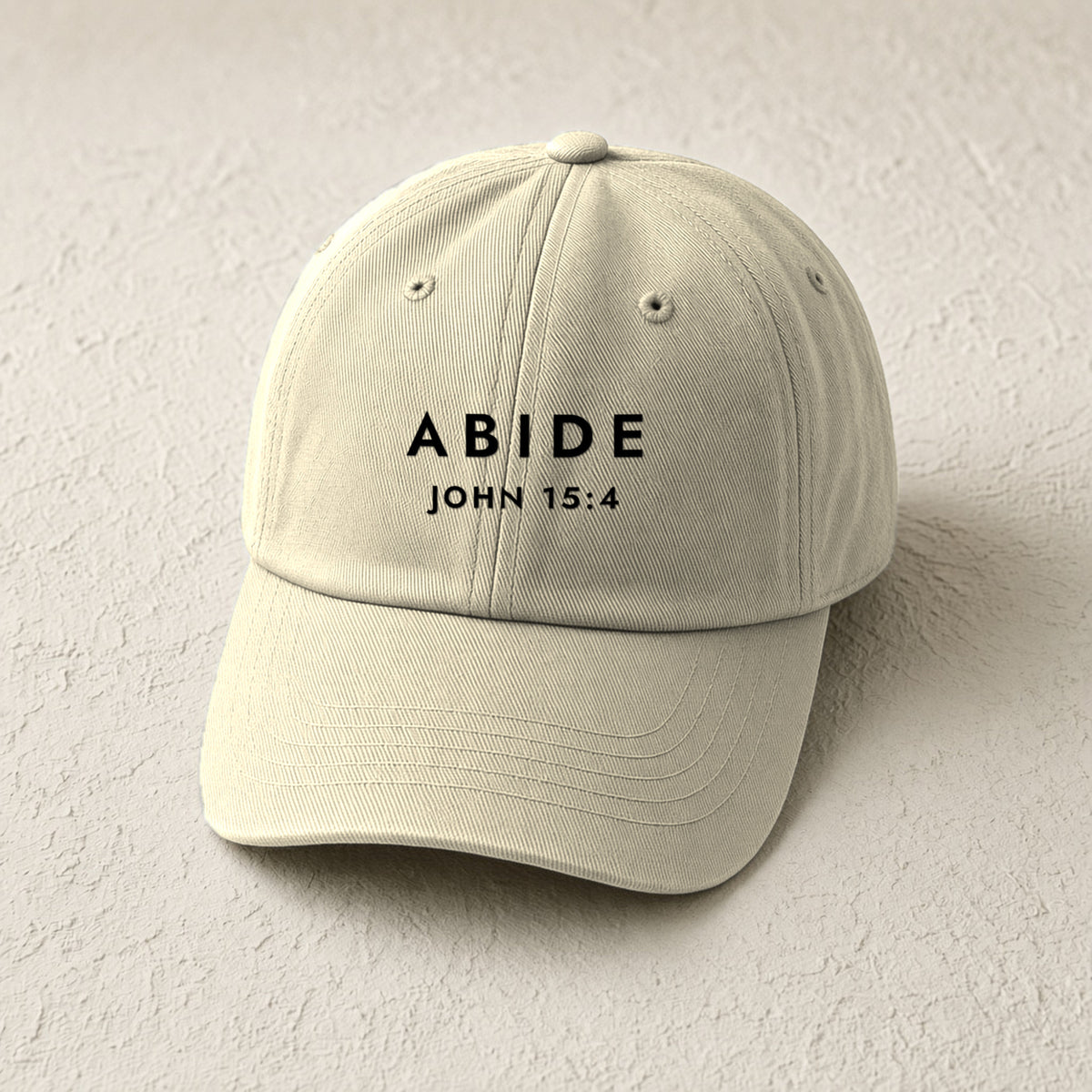 Abide Dad Cap in Stone